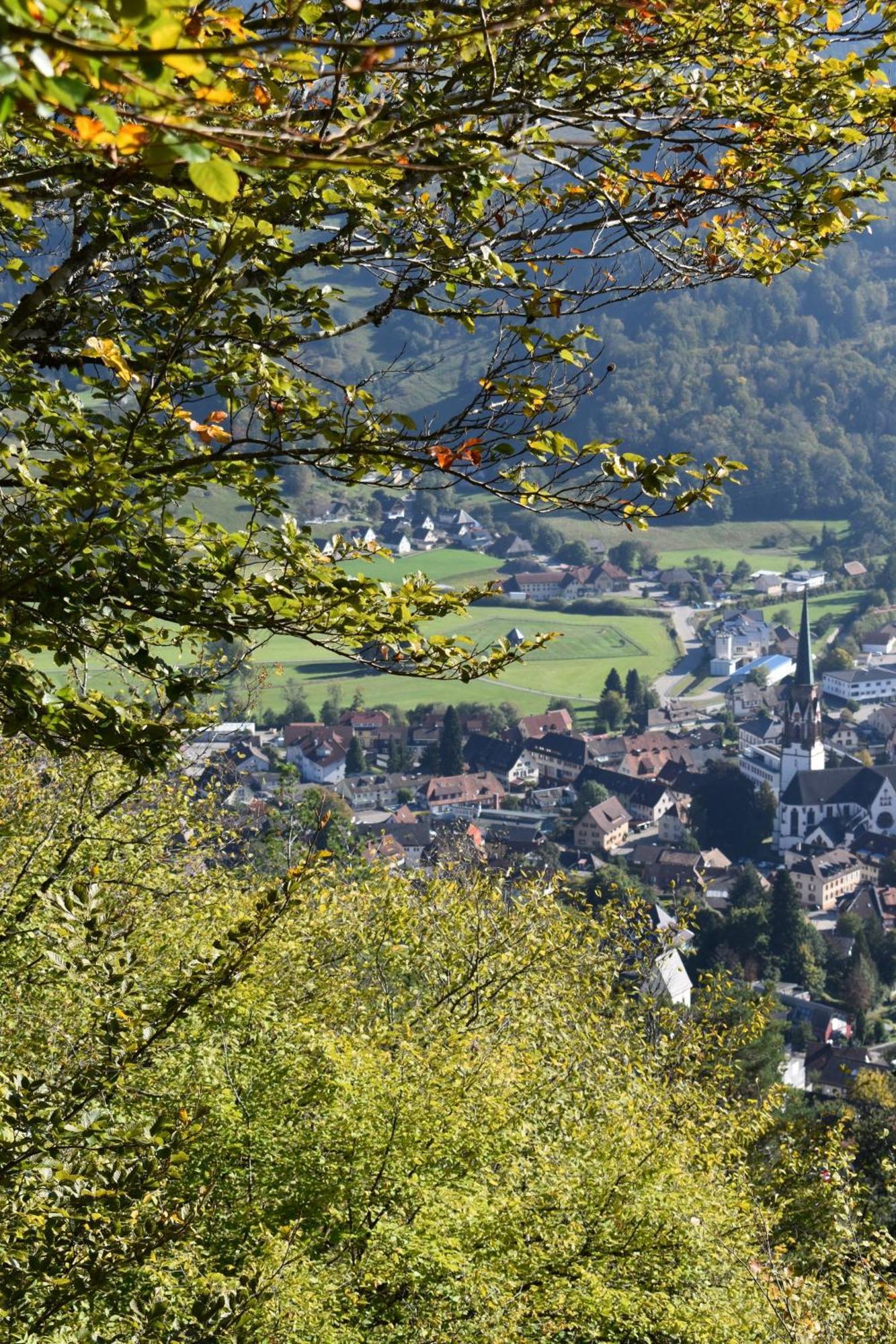 Gartenferienhaus "Annaluise" Schönau im Schwarzwald Dış mekan fotoğraf