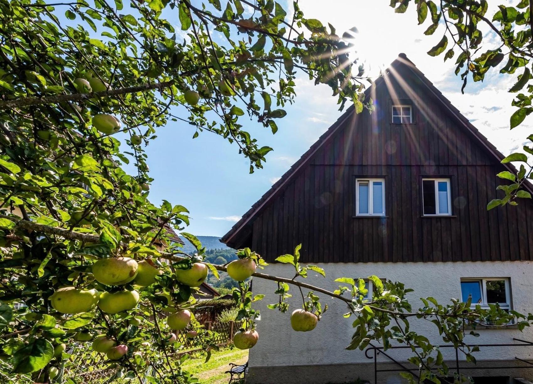 Gartenferienhaus "Annaluise" Schönau im Schwarzwald Dış mekan fotoğraf