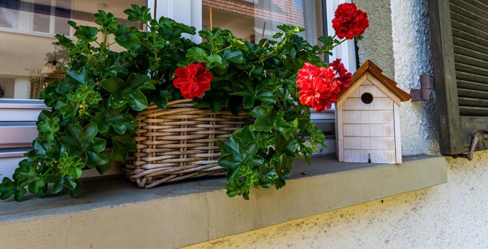 Gartenferienhaus "Annaluise" Schönau im Schwarzwald Dış mekan fotoğraf