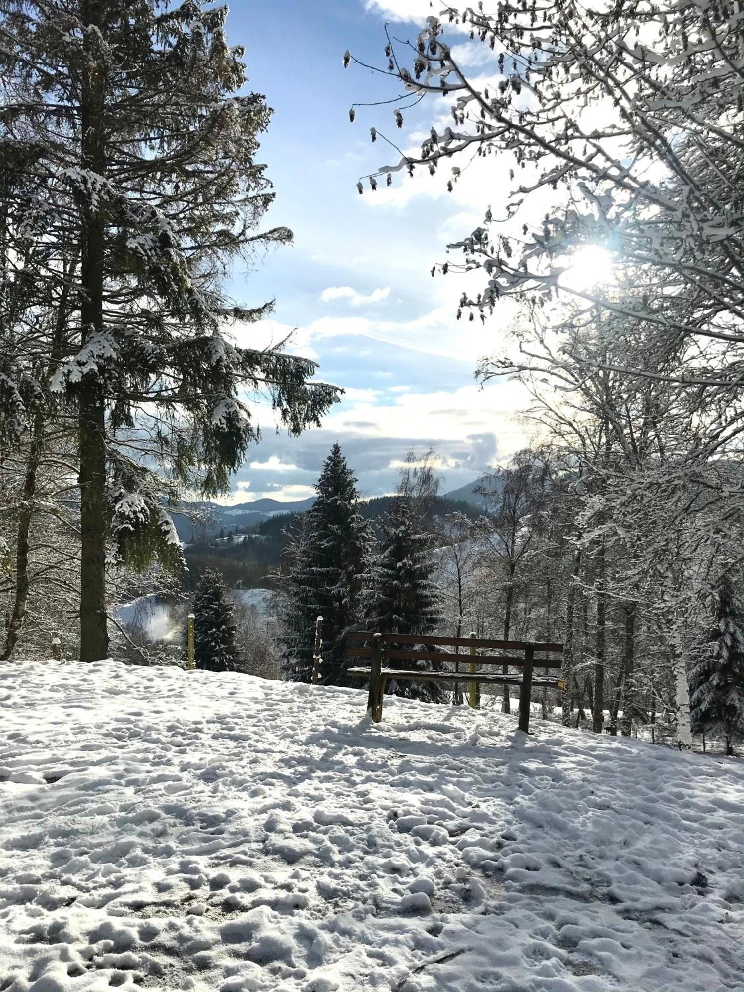 Gartenferienhaus "Annaluise" Schönau im Schwarzwald Dış mekan fotoğraf