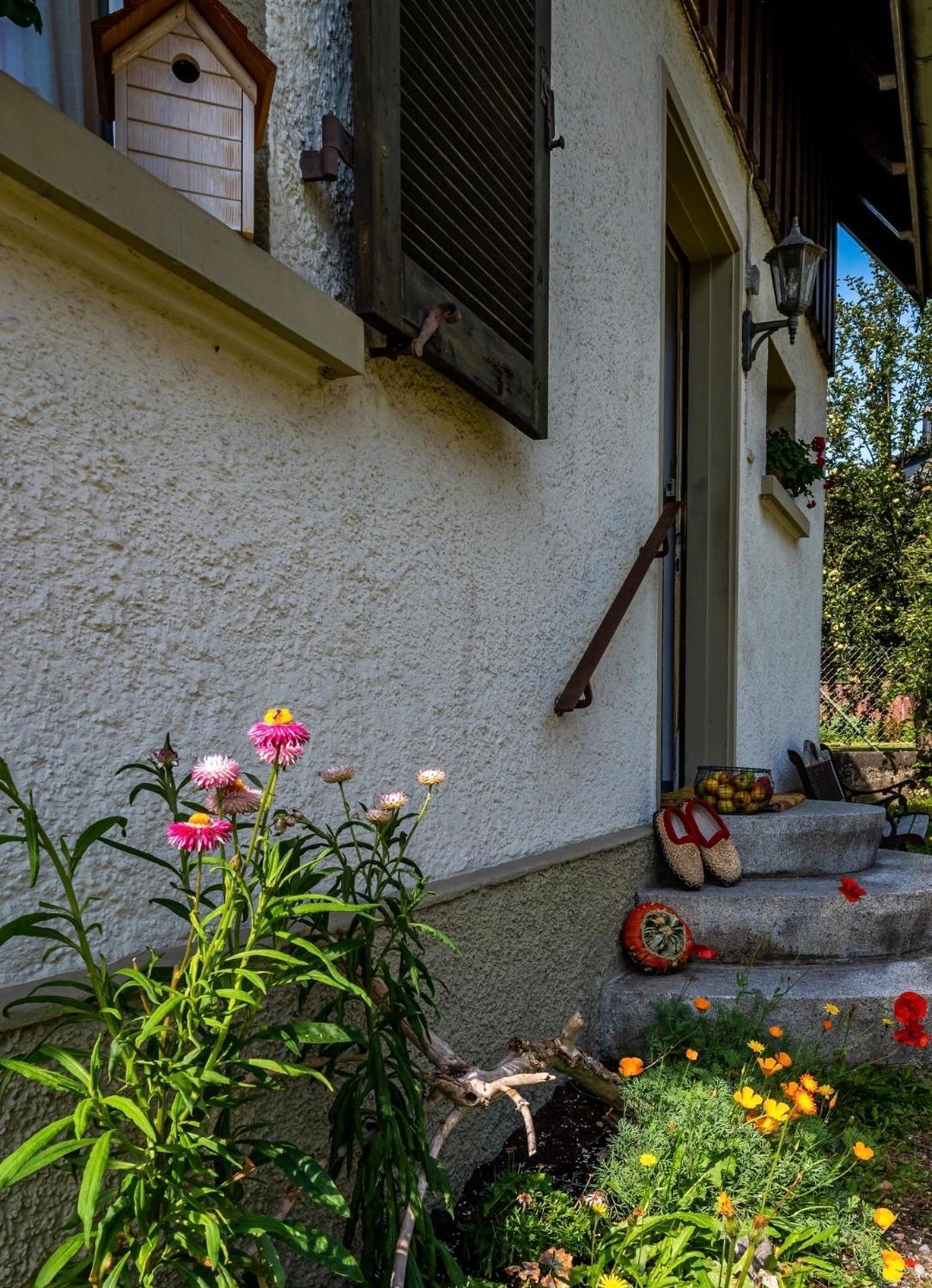 Gartenferienhaus "Annaluise" Schönau im Schwarzwald Dış mekan fotoğraf